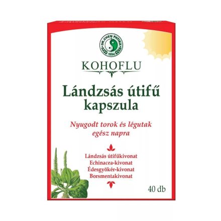 Dr. Chen KOHOFLU LÁNDZSÁS ÚTIFŰ KAPSZULA - NAPPAL - 40DB